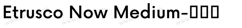 Etrusco Now Medium字体转换